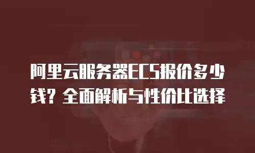 阿里云服务器ECS报价多少钱？全面解析与性价比选择