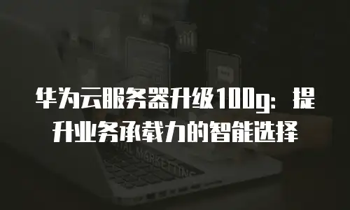 华为云服务器升级100g：提升业务承载力的智能选择