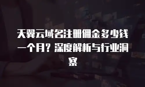 天翼云域名注册佣金多少钱一个月？深度解析与行业洞察