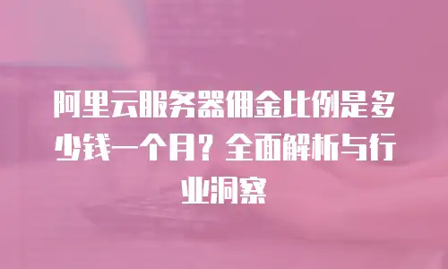 阿里云服务器佣金比例是多少钱一个月？全面解析与行业洞察