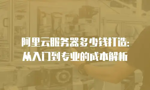 阿里云服务器多少钱打造：从入门到专业的成本解析
