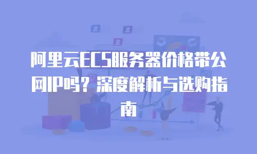 阿里云ECS服务器价格带公网IP吗？深度解析与选购指南