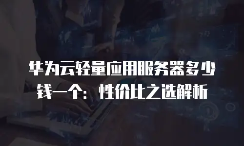 华为云轻量应用服务器多少钱一个：性价比之选解析