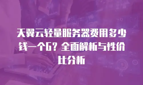 天翼云轻量服务器费用多少钱一个G？全面解析与性价比分析