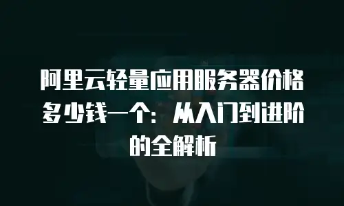 阿里云轻量应用服务器价格多少钱一个：从入门到进阶的全解析