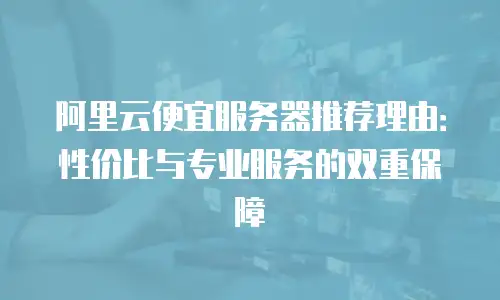 阿里云便宜服务器推荐理由：性价比与专业服务的双重保障
