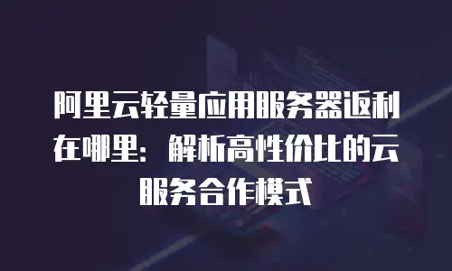 阿里云轻量应用服务器返利在哪里：解析高性价比的云服务合作模式