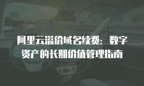 阿里云溢价域名续费：数字资产的长期价值管理指南