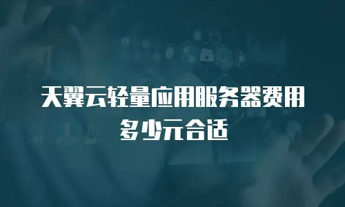 天翼云轻量应用服务器费用多少元合适
