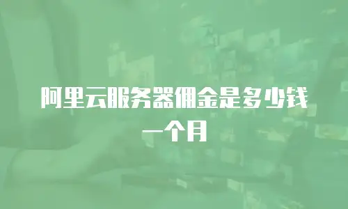 阿里云服务器佣金是多少钱一个月