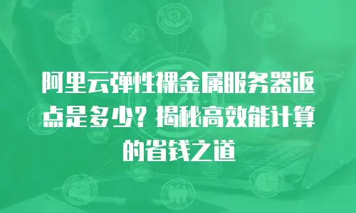 阿里云弹性裸金属服务器返点是多少？揭秘高效能计算的省钱之道