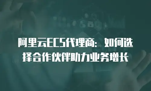 阿里云ECS代理商：如何选择合作伙伴助力业务增长