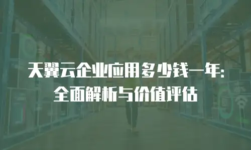 天翼云企业应用多少钱一年：全面解析与价值评估
