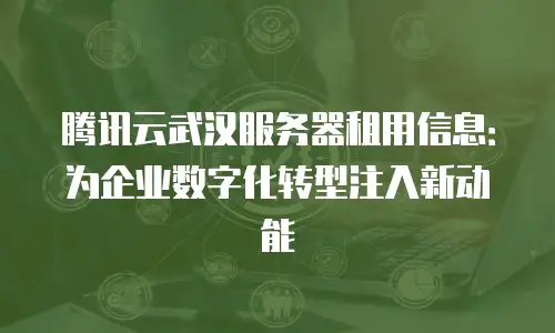 腾讯云武汉服务器租用信息：为企业数字化转型注入新动能