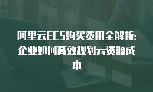 阿里云ECS购买费用全解析：企业如何高效规划云资源成本