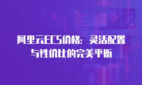 阿里云ECS价格：灵活配置与性价比的完美平衡
