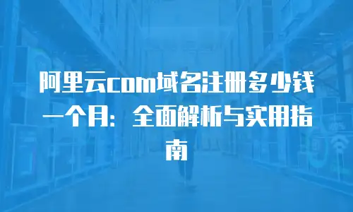阿里云com域名注册多少钱一个月：全面解析与实用指南