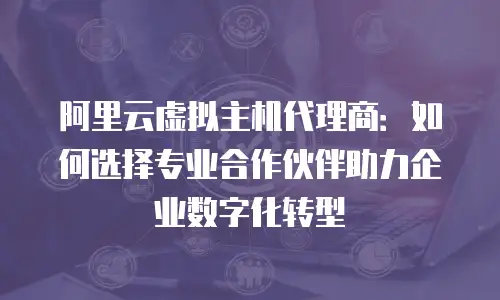阿里云虚拟主机代理商：如何选择专业合作伙伴助力企业数字化转型