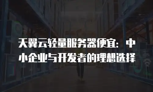 天翼云轻量服务器便宜：中小企业与开发者的理想选择