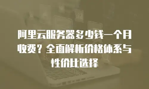 阿里云服务器多少钱一个月收费？全面解析价格体系与性价比选择