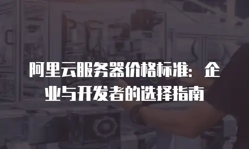 阿里云服务器价格标准：企业与开发者的选择指南