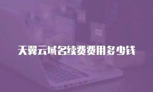 天翼云域名续费费用多少钱