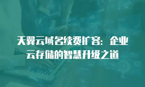天翼云域名续费扩容：企业云存储的智慧升级之道