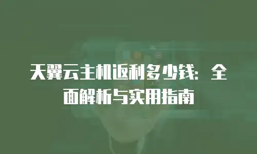 天翼云主机返利多少钱：全面解析与实用指南