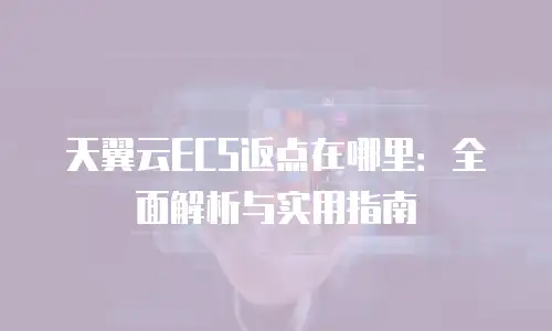 天翼云ECS返点在哪里：全面解析与实用指南