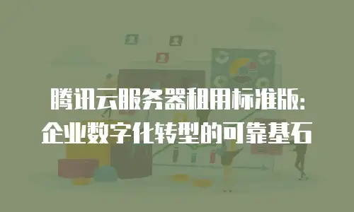 腾讯云服务器租用标准版：企业数字化转型的可靠基石