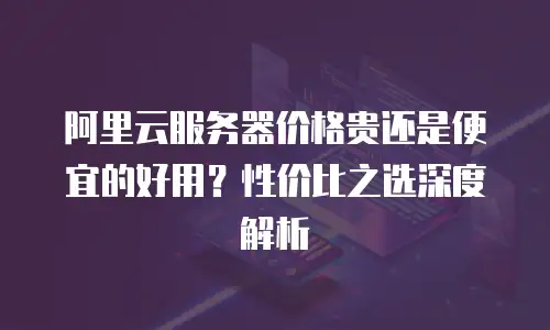 阿里云服务器价格贵还是便宜的好用？性价比之选深度解析