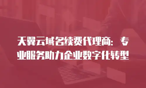 天翼云域名续费代理商：专业服务助力企业数字化转型