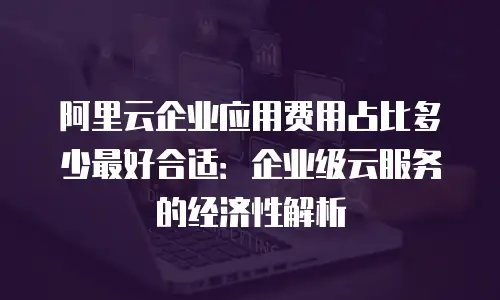 阿里云企业应用费用占比多少最好合适：企业级云服务的经济性解析