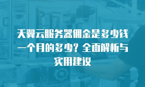 天翼云服务器佣金是多少钱一个月的多少？全面解析与实用建议