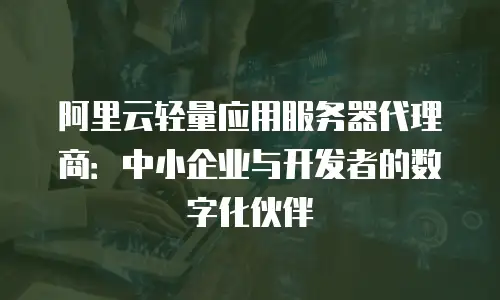 阿里云轻量应用服务器代理商：中小企业与开发者的数字化伙伴
