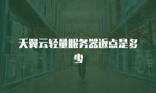 天翼云轻量服务器返点是多少