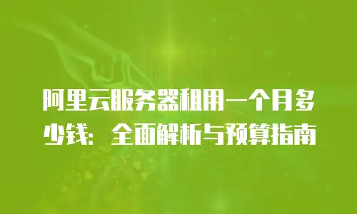 阿里云服务器租用一个月多少钱：全面解析与预算指南
