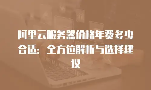 阿里云服务器价格年费多少合适：全方位解析与选择建议