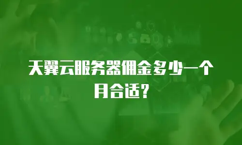 天翼云服务器佣金多少一个月合适？