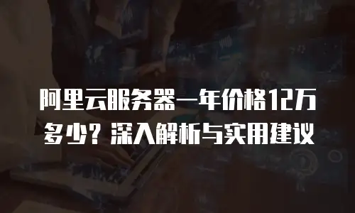 阿里云服务器一年价格12万多少？深入解析与实用建议