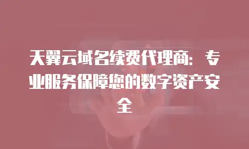 天翼云域名续费代理商：专业服务保障您的数字资产安全