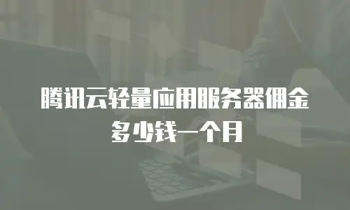 腾讯云轻量应用服务器佣金多少钱一个月
