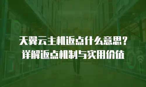 天翼云主机返点什么意思？详解返点机制与实用价值