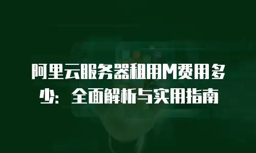 阿里云服务器租用M费用多少：全面解析与实用指南
