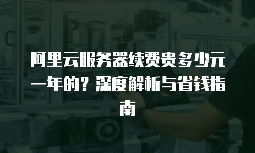 阿里云服务器续费贵多少元一年的？深度解析与省钱指南