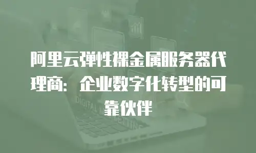 阿里云弹性裸金属服务器代理商：企业数字化转型的可靠伙伴