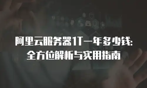 阿里云服务器1T一年多少钱：全方位解析与实用指南
