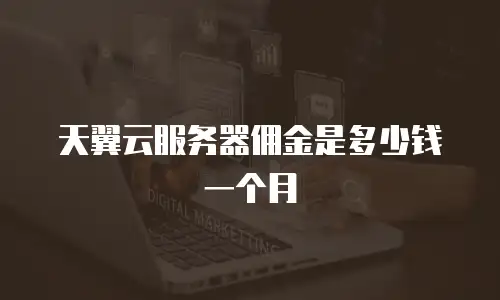 天翼云服务器佣金是多少钱一个月
