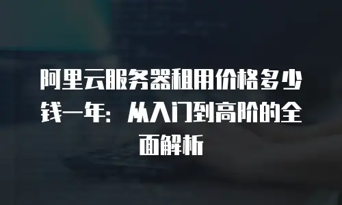 阿里云服务器租用价格多少钱一年：从入门到高阶的全面解析