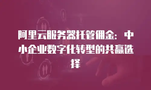 阿里云服务器托管佣金：中小企业数字化转型的共赢选择